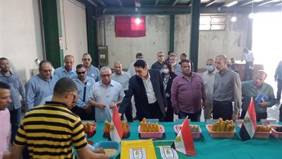 مدير معهد القطن بكفرالشيخ: التوسع في زراعة جيزة 97 العام القادم