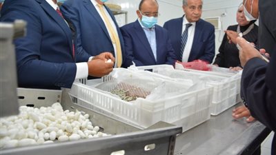 شعراوى: الوادي الجديد نجحت في إحياء إنتاج الحرير الطبيعي بالطاقة الشمسية