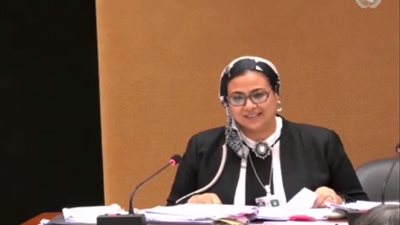 الوفد المشارك فى اجتماعات السيداو يستعرض جهود مصر بشأن المرأة والمناصب القيادية