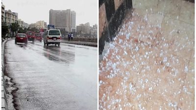 إصابة 80 شخصًا بلدغات ثعابين وعقارب وانهيار 5 منازل وانقطاع الكهرباء فى أسوان