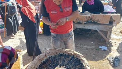 إعدام ٢ طن أغذية فاسدة وغلق ١٣ منشأة غذائية بكفر صقر وأولادصقر وبلبيس والقنايات والحسينية