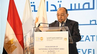 شعراوى :القيادة السياسية حريصة على قيام مصر بدور فعال ورائد على المستويين الإقليمى والدولى