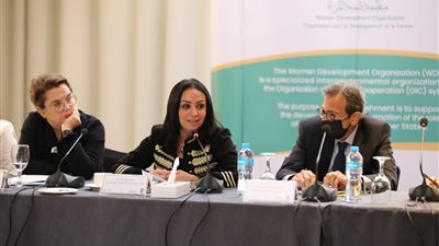 مايا مرسي : مصر تولى اهتماماً خاصا ومستمرا لمنظمة تنمية المرأة