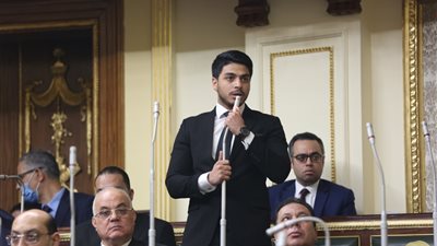 النواب يطالب بإطلاق اسم الراحل أحمد زيدان على أحد الشوارع بدائرته