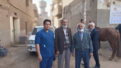 محافظ أسيوط: قافلة بيطرية مجانية بقرية ريفا بمركز أسيوط لتقديم الرعاية والاستشارات الطبية للمربين