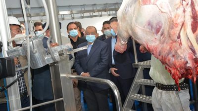 شعراوى: خطة متكاملة لتطوير ورفع كفاءة جميع المجازر على مستوى الجمهورية