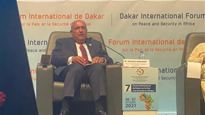 شكري: يجب معالجة الأسباب الجذرية للإرهاب والنزاعات المسلحة في إفريقيا
