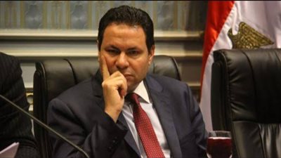 زراعة النواب: حل أزمة السماد و240 جنيها السعر المدعم لـ «الشيكارة».. فيديو