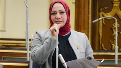 نائبة: مخططات قوى الشر والإرهاب وزارة الداخلية لها بالمرصاد