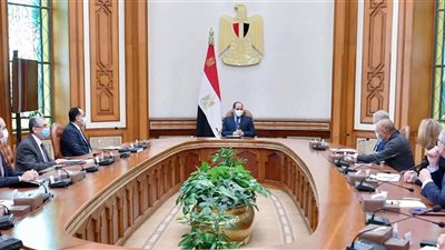 الرئيس السيسي يناقش مع رئيس شركة 