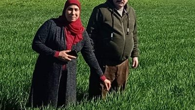 جولات وندوات للارشاد الزراعى للنهوض بالمحاصيل ببنى سويف