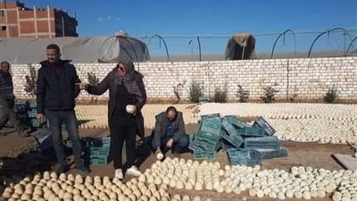 النيابة العامة بتلا تفرض الحراسة على مصنع جبن 