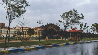 برودة شديدة وأمطار غزيرة بالإسماعيلية ..صور