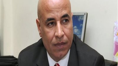 نائب رئيس اتحاد عام المصريين بالسعودية: الجاليات المصرية بالخارج فخورة بمشروعات تنمية الصعيد