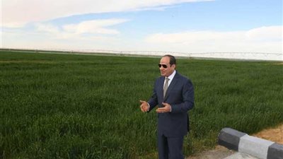 التعمير والتنمية الزراعية: «توشكى الخير» مشروع عملاق يضاف للمشاريع الأخرى مثل شمال ووسط سيناء والدلتا الجديدة