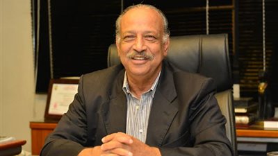 نائب : تقرير «فيتش» عن زيادة الطبقة المتوسطة في مصر يؤكد استقرار أداء الاقتصاد بشكل كامل