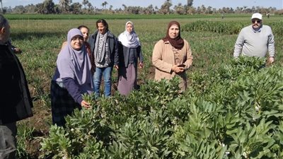 متابعة الحقول الزراعيه في اهناسيا