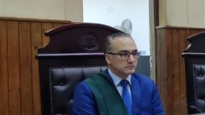 جنايات المنيا عاقبت اولاد جودة ورشدى بالمؤبد والسجن المشدد لمدة 15سنه