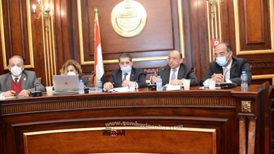 شعراوى : أهمية تغيير ثقافة المواطنين ودور الإعلام والمجالس النيابة والتشريعية للحد من الزيادة السكانية