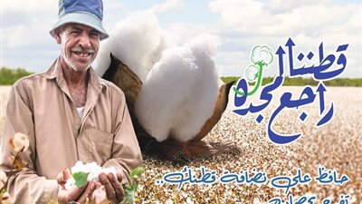 قطاع الاعمال: بيع 1.2 مليون قنطار بـ6.2 مليار جنيه من خلال المزادات في 14 محافظة