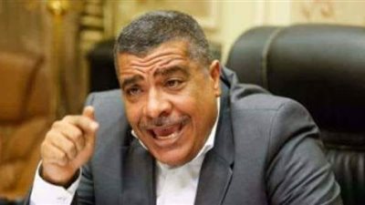 رئيس صناعة النواب: قرارات السيسي برفع الحد الأدنى للأجور وتعيين آلاف المعلمين استجابة لنبض الشارع