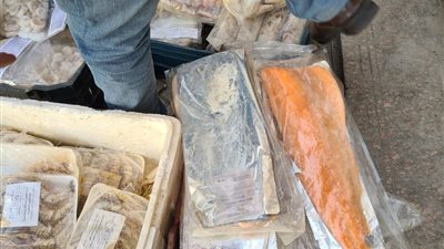 حملات على الاسواق والكشف على صلاحية اللحوم والمواد الغذائية فى الإسكندرية