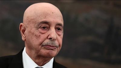 عقيلة صالح يبحث مع المستشارة الأممية مستجدات العملية الانتخابية