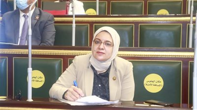 النائبة ريهام عبدالنبي: مبادرة حياة كريمة نجحت في تحقيق انجازات كبيرة