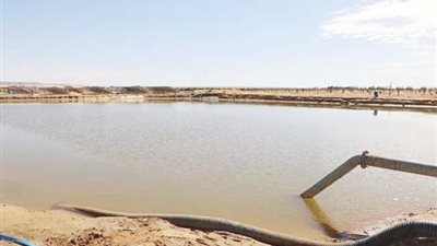 الوادي الجديد.. تطبيق أول منظومة للمطر الاصطناعي