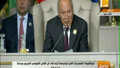 ابو الغيط: الجولان أرض سورية محتلة بواقع القانون الدولي