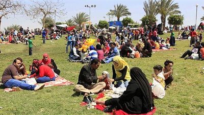 حملات مكثفة على محلات الاسماك بالشرقية