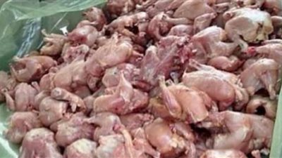 ضبط اكثر من ثلاث الاف ونصف كيلو فراخ فاسد بالعاشر