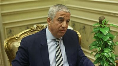 رئيس خارجية النواب : العلاقة الاستراتيجية بين مصر والولايات المتحدة الأمريكية مبنية على أساس الاحترام المتبادل