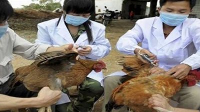 إصابة بشرية بأنفلونزا الطيور 