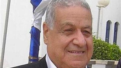 الهريدى : سياسة مصر الخارجية المتوازنة نجحت فى القضاء على عهود التهميش