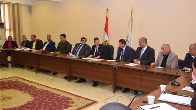 بني سويف تكثف استعداداتها للاستفتاء على التعديلات الدستورية