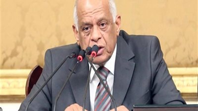 رئيس النواب : المشاركة بالاستفتاء واجب وطني