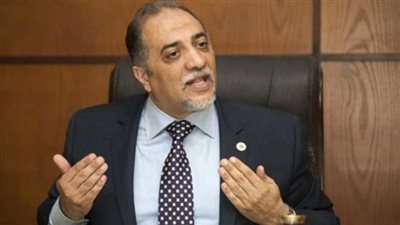 القصبي: الأغلبية البرلمانية تقدمت بالتعديلات الدستورية بدافع وطني