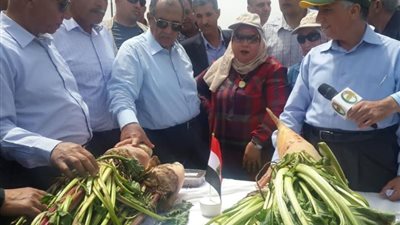 أبوستيت يتفقد برامج محاصيل الأعلاف ومحطة الإنتاج الحيوانى بسخا
