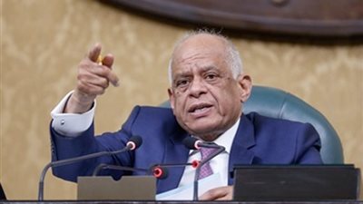 على عبد العال : أراد البعض أن يأخذ الجلسة هنا أو هناك.. وعلي الشباب أن يتدربوا سياسيا على كيفية التعامل مع المعارضة