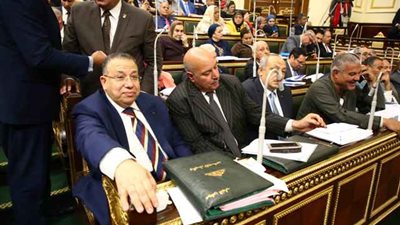 مجلس النواب يوافق على مواد مجلس الشيوخ 