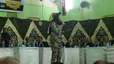 فقهاءالدستور يؤيدون التعديلات الدستورية في مؤتمر حزب الوفد بالفيوم
