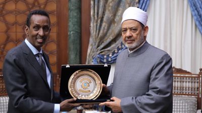 وزير خارجية الصومال:المنهج الأزهري هو طريق الصومال للخروج من نفق التطرف والإرهاب