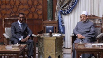 الطيب: المنهج الأزهرى هو طريق الصومال للخروج من نفق التطرف والإرهاب