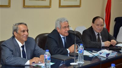 تفاصيل مناقشات صالون د. صديق عفيفى حول التوازن بين الاعلام والسياسة