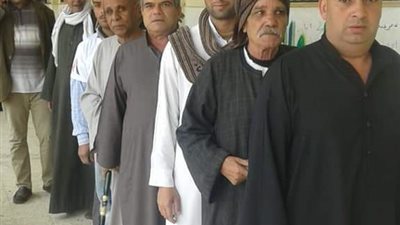 اقبال كبير على لجان الدقهلية للتصويت على التعديلات الدستورية