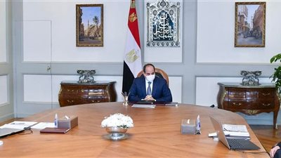 الرئيس السيسي يتابع جهود تطوير شركات قطاع الأعمال العام