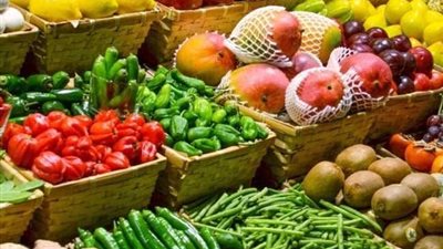 57 مليون دولار إجمالي صادرات الإسماعيلية الزراعية في يناير 2022