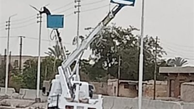 صيانة دورية وعوازل للكابلات الكهربائية في الإسماعيلية..صور