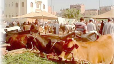 انتشار الأسواق العشوائية .. صداع في رأس مسئولي الشرقية